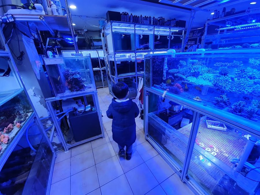 Themarium Aquarium