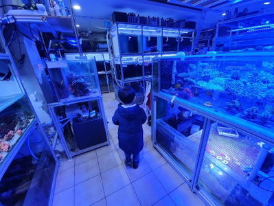 Themarium Aquarium