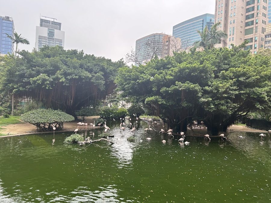 九龍公園入口