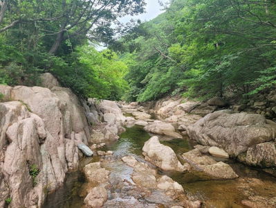 National Daeunsan Healing Forest