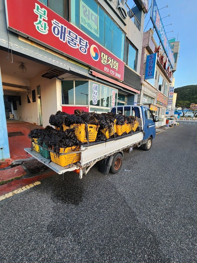 プサンヘムルタン