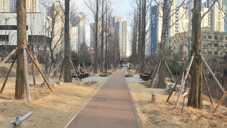 Suin Line Baramgil Forest