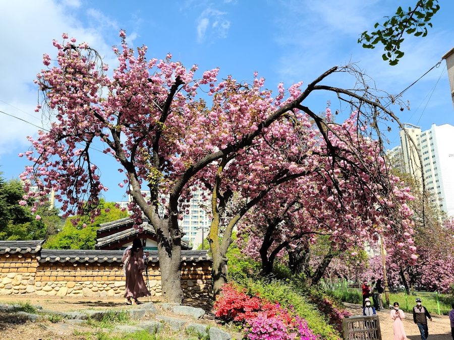 Wolgok History Museum