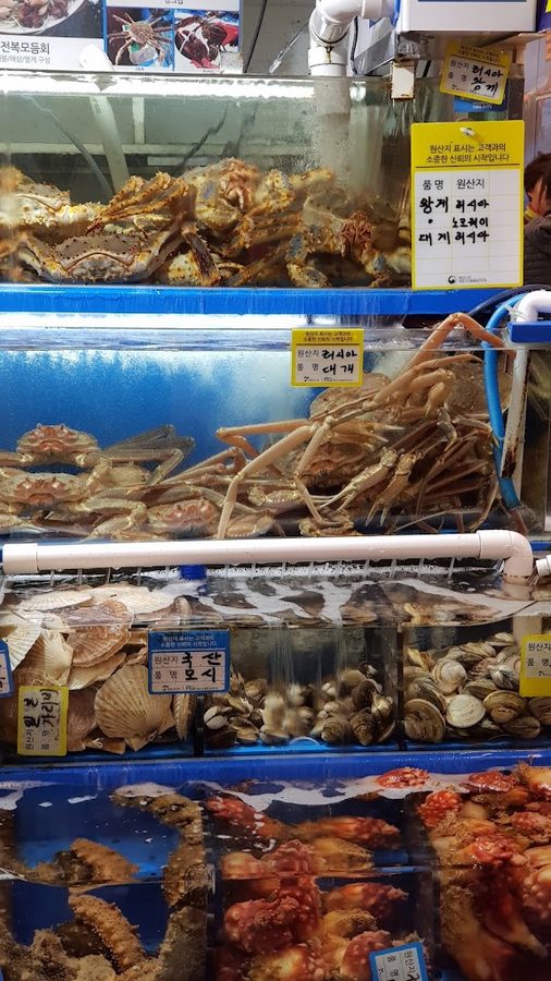 Noryangjin Fisheries Market Jamae Susan