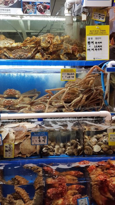 鷺梁津水産市場 姉妹水産