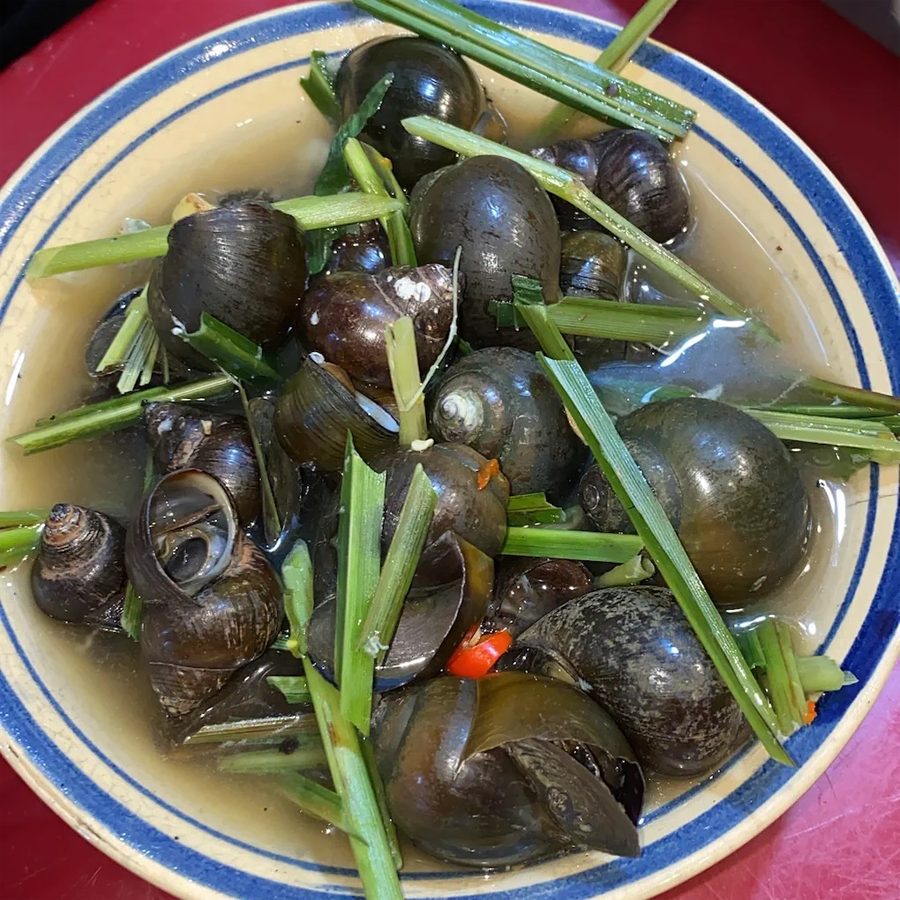 Ốc Vy