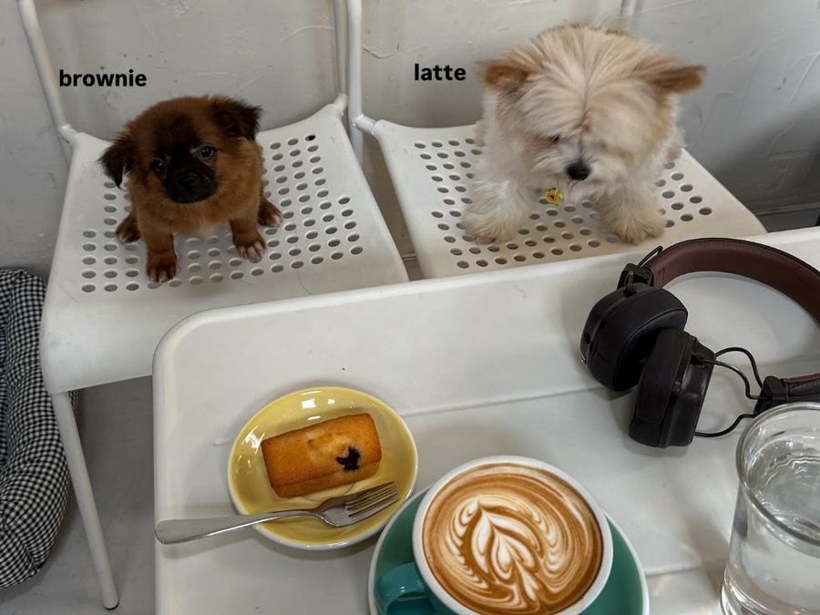 D Coffee