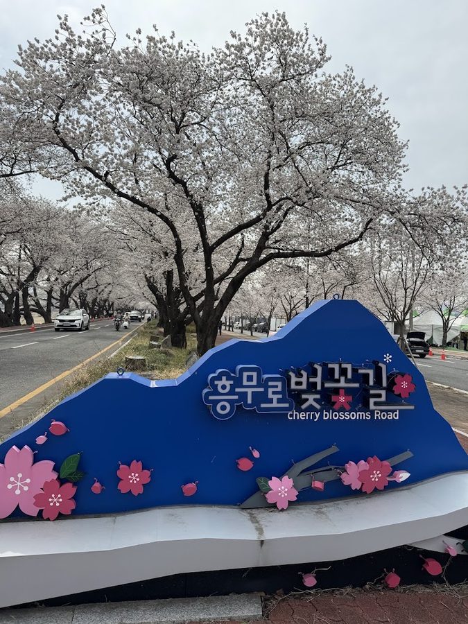 Heungmu-ro Beotkkot-gil