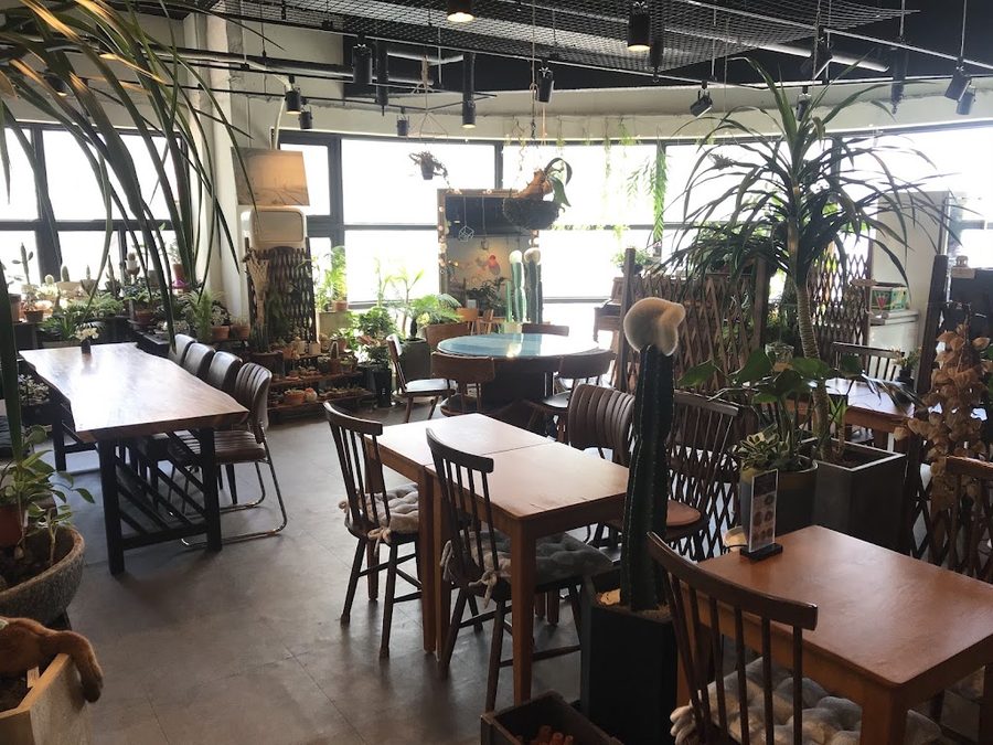 Restaurant & Cafe Biche