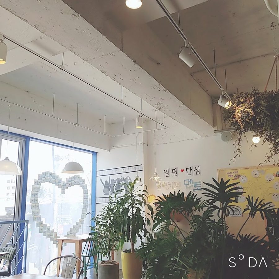 Simri Cafe Mentor Daegu Dongseongno Branch