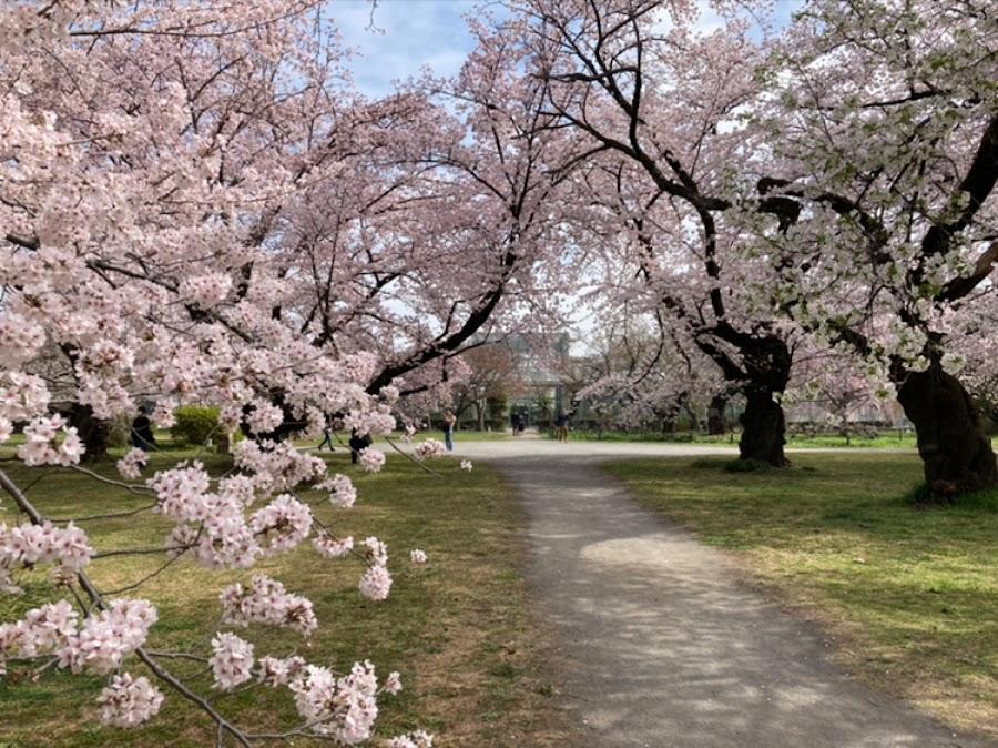 小石川植物園
