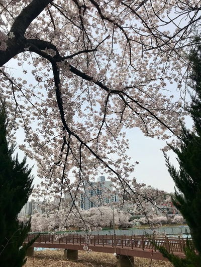 운천저수지