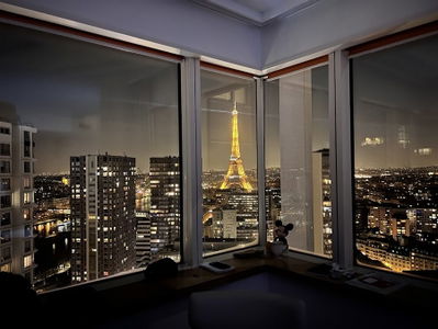 Hôtel Mercure Paris Tour Eiffel Pont Mirabeau