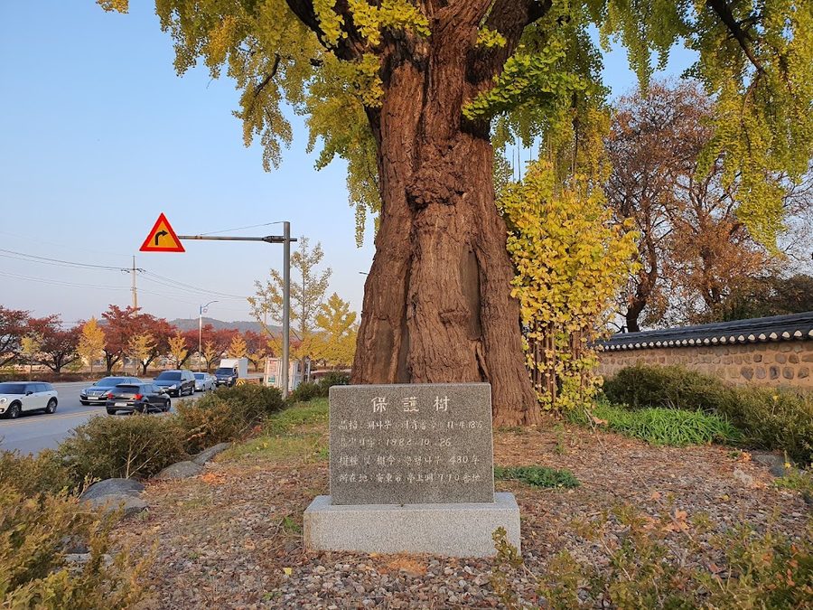 안동 귀래정
