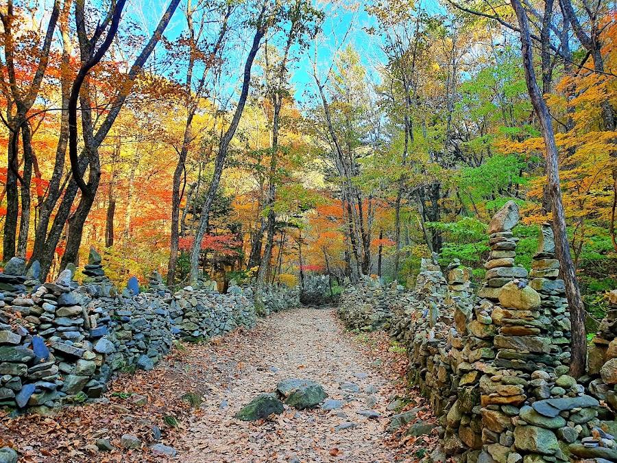 Nochusan Mojeongtap Trail