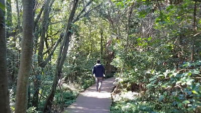 Jeju Gotjawal Provincial Park