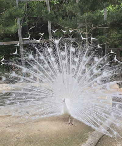 울산대공원 동물원