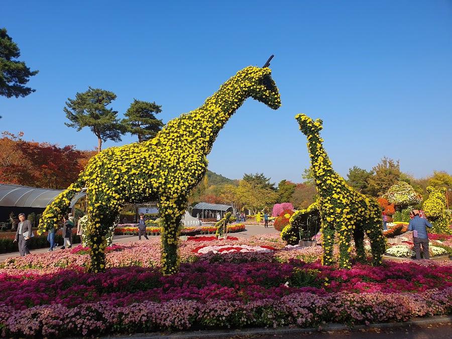 Daegu Arboretum