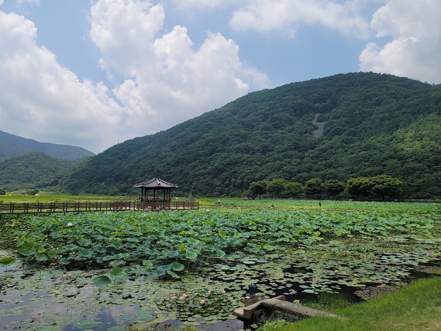 Sangni Lotus Park