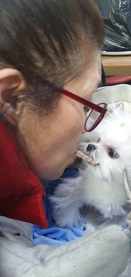 합천국밥