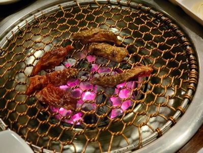 솔낭구