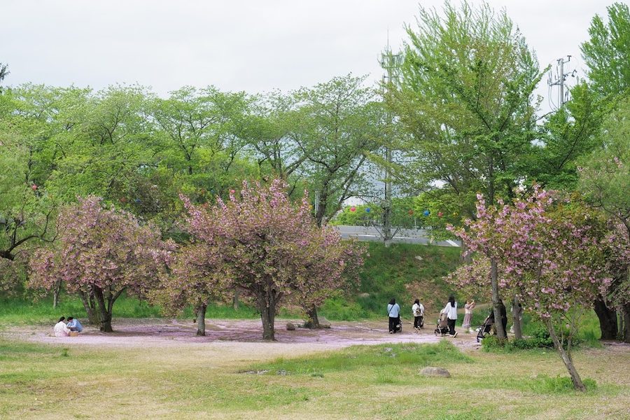 仏国公園