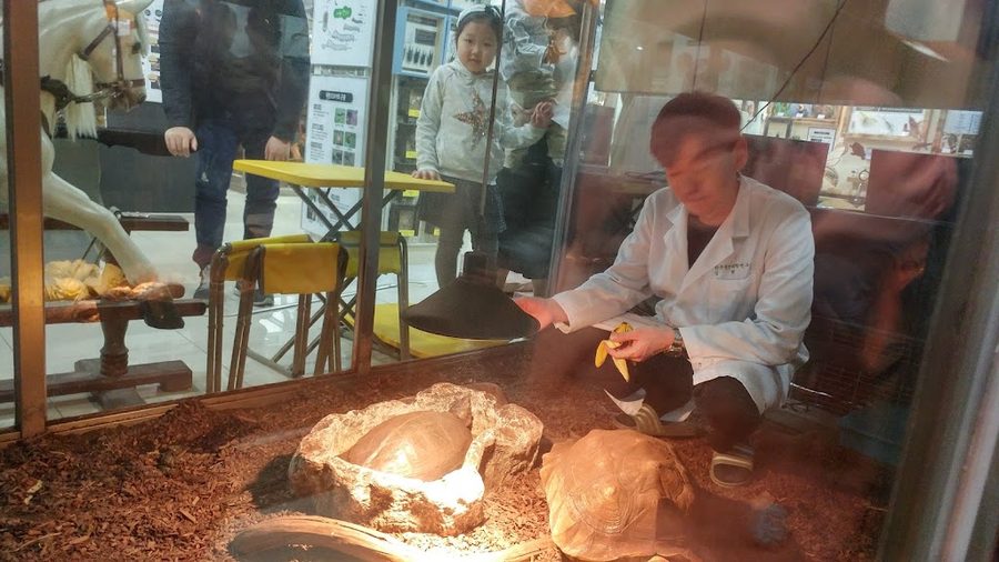 Life Science Museum