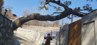 Buam-dong Community Service Center