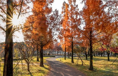 ホサン公園