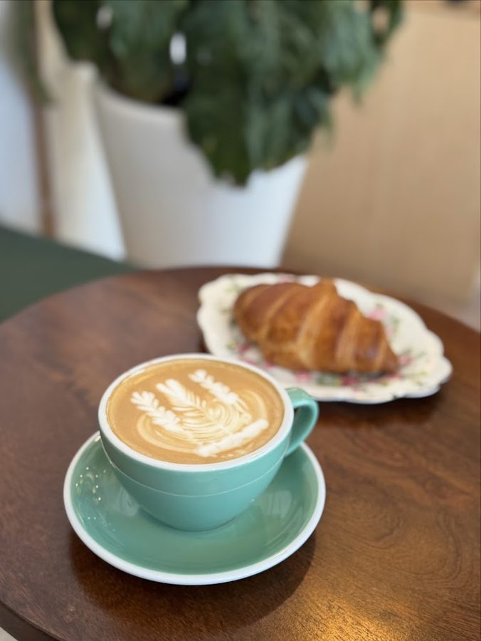 Montemug Coffee