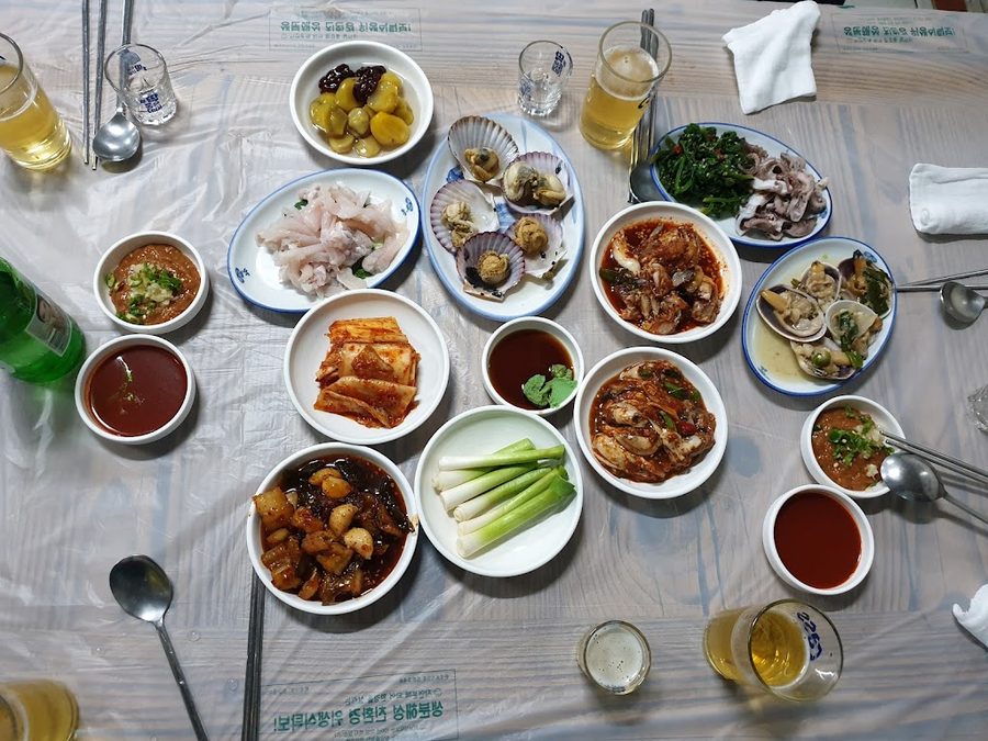 물보라실비