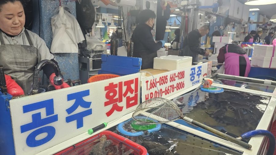 공주회집