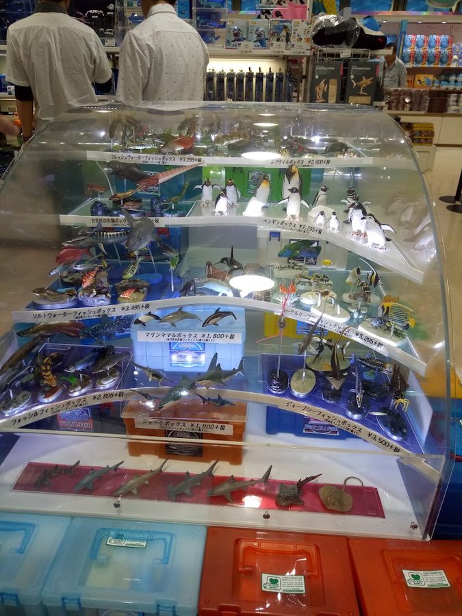 Kaiyukan Official Museum Shop