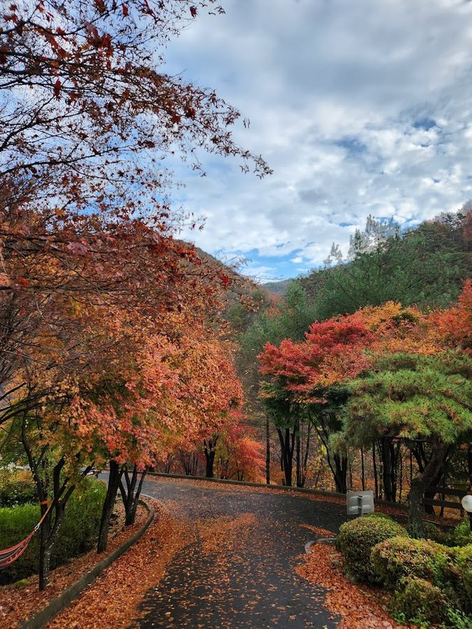 Gyemyeongsan Natural Recreation Forest