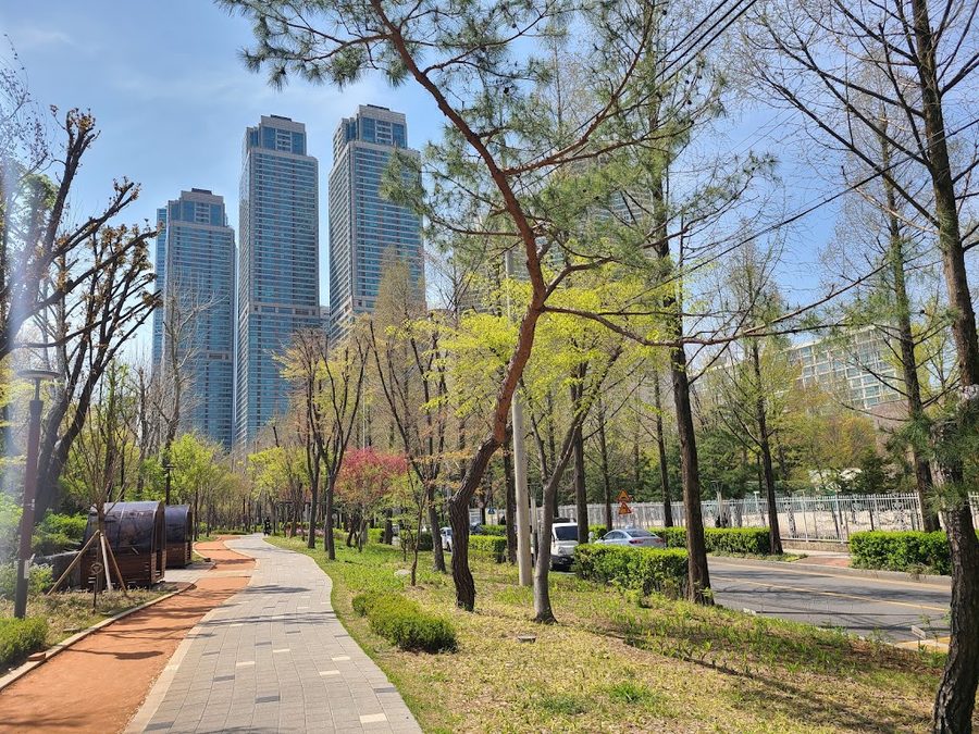Yangjaecheon-gil (Yangjae Stream Trail)