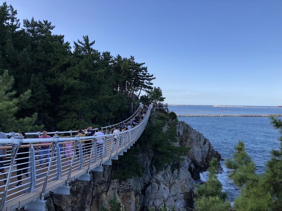 추암 촛대바위 출렁다리