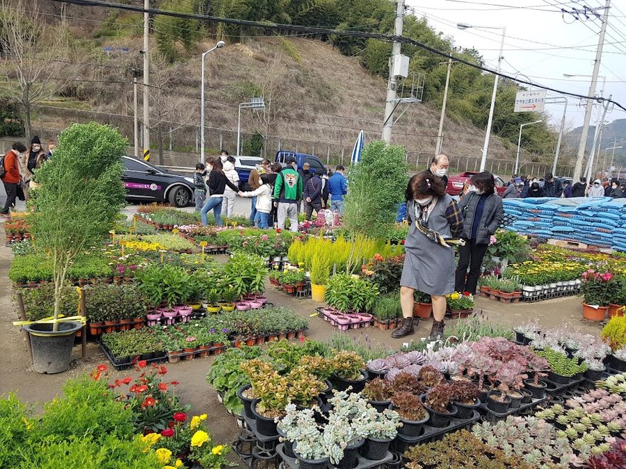 Seokdae Flower Market