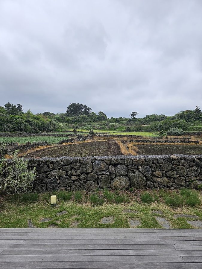 Jeju Stayre