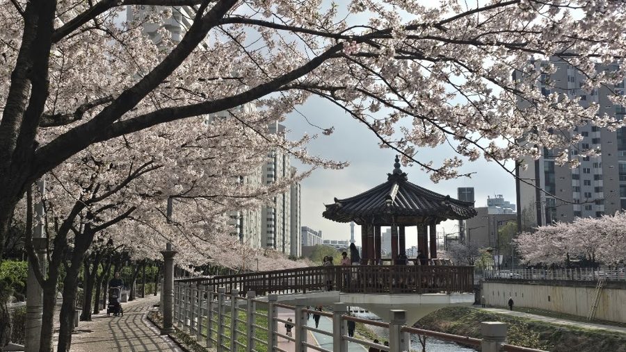 Danghyeoncheon