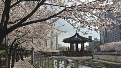 Danghyeoncheon