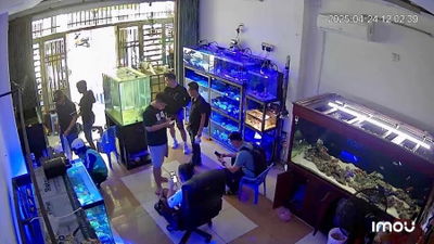 Cá Biển Đà Nẵng