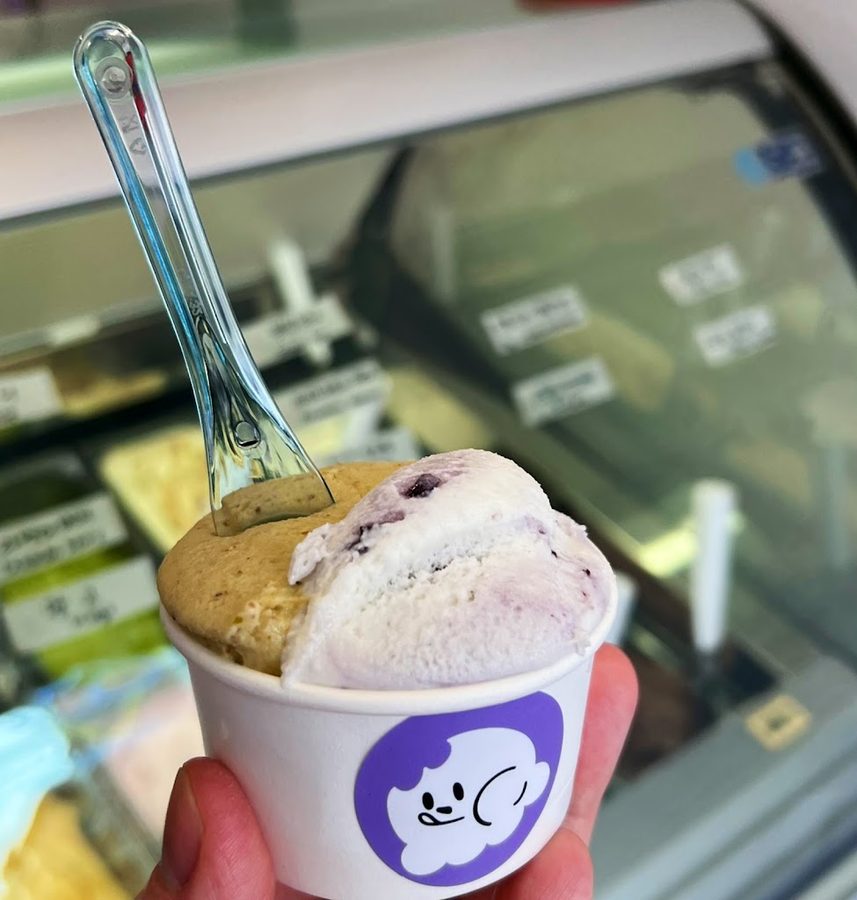 보라젤라또