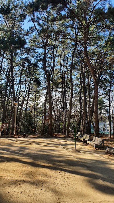Sodam Park