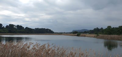 Hadori Migratory Bird Sanctuary