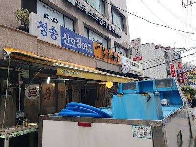 청송산오징어
