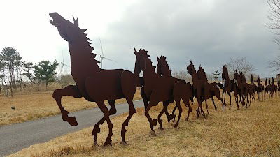 Jeju Horse Park