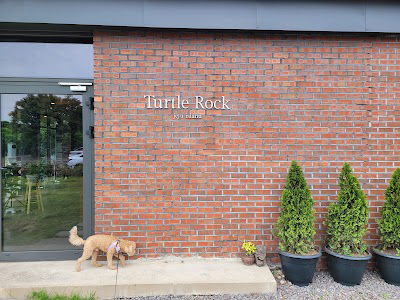 Turtle Rock