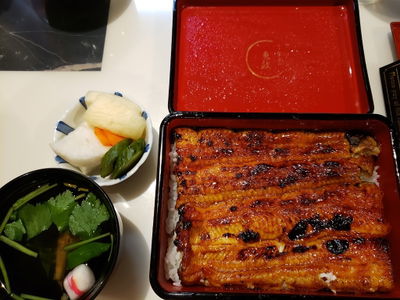うなぎ魚政