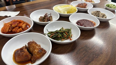 고목나무집