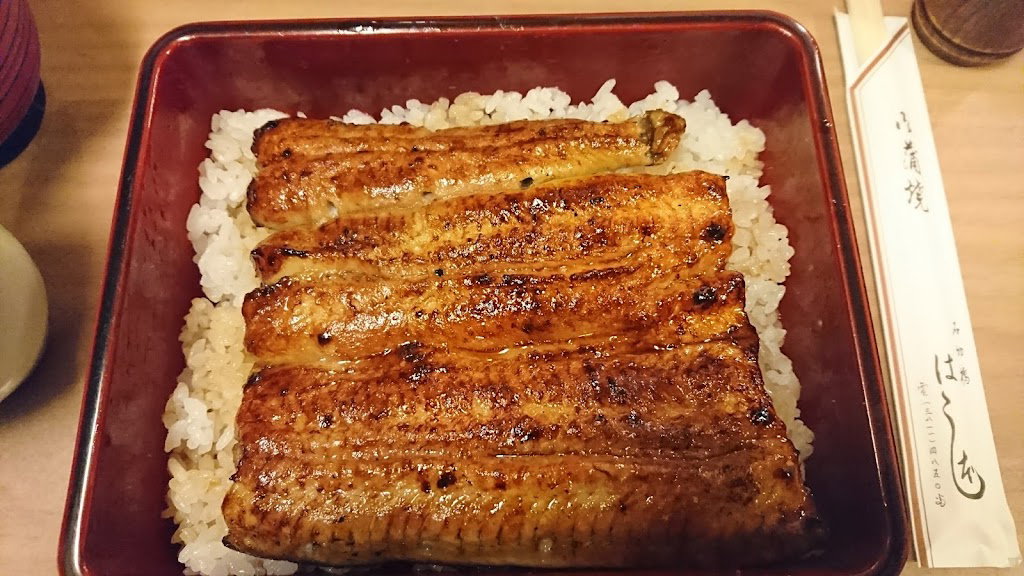 Unagi Hashimoto